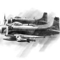 Những Bóng Dơi Đen - Võ Quang Thẩm